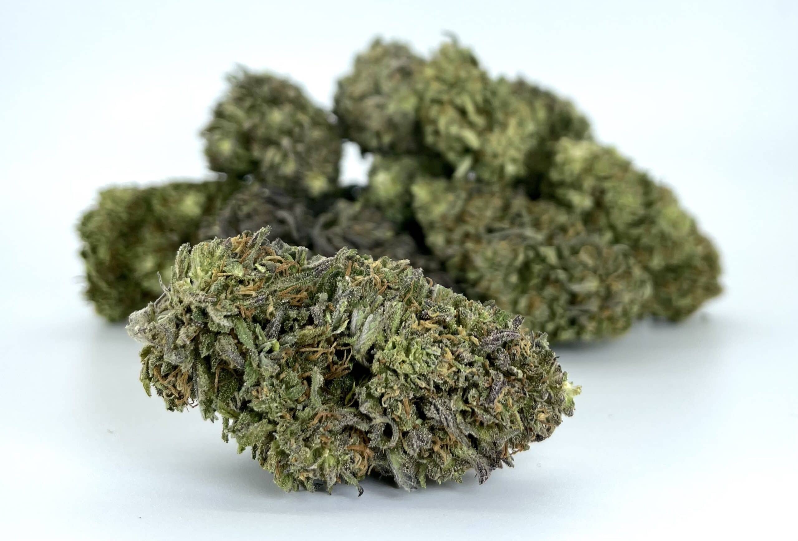 CBD Hemp Flower