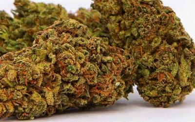 Lifter Hemp CBD Flower Review