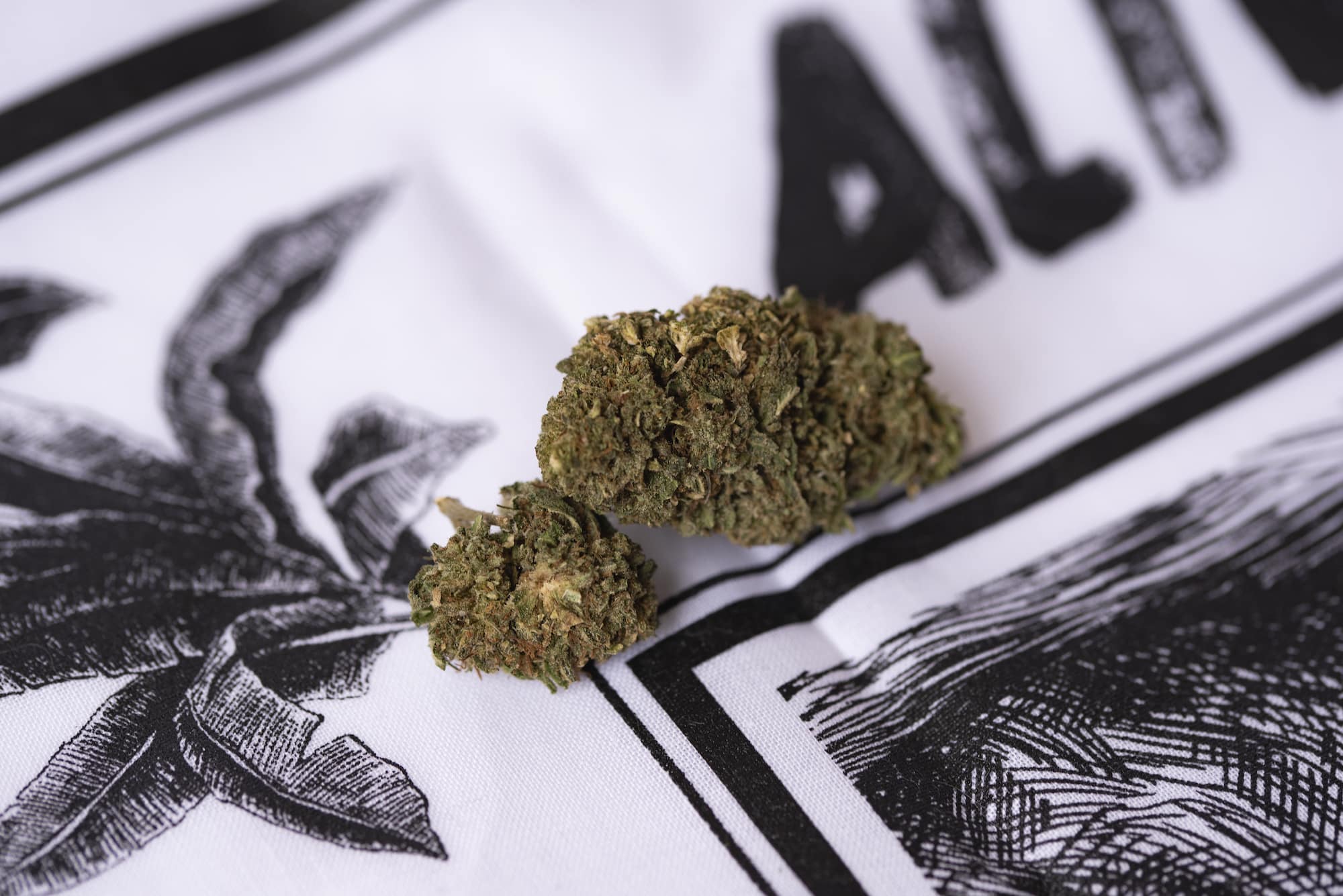 CBD Hemp Flower