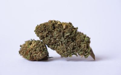 Bubba Kush Strain Review