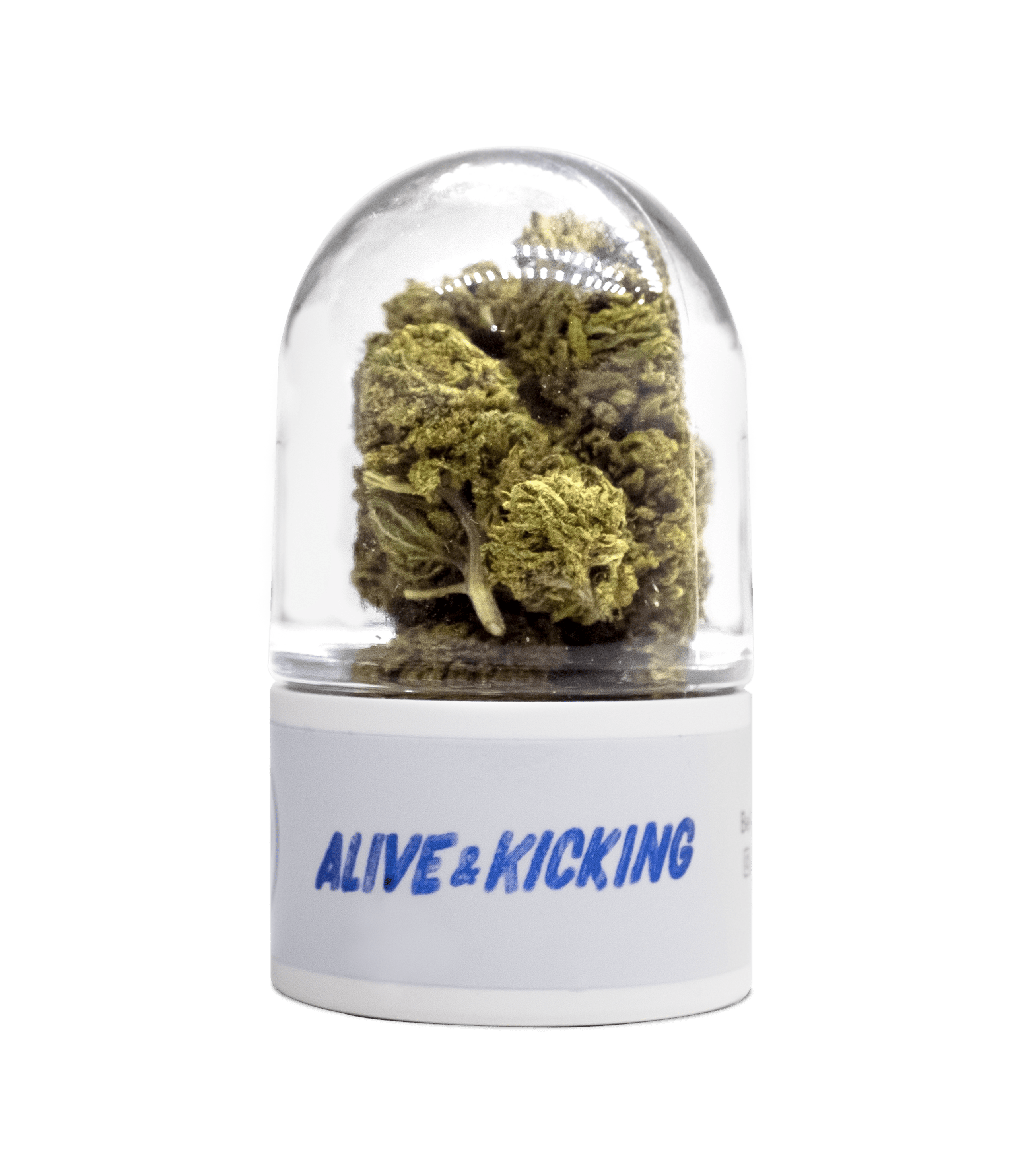 CBD Hemp Flower