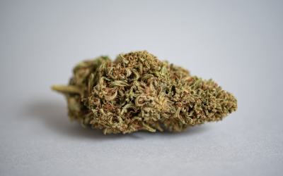 Hawaiian Haze Strain Review